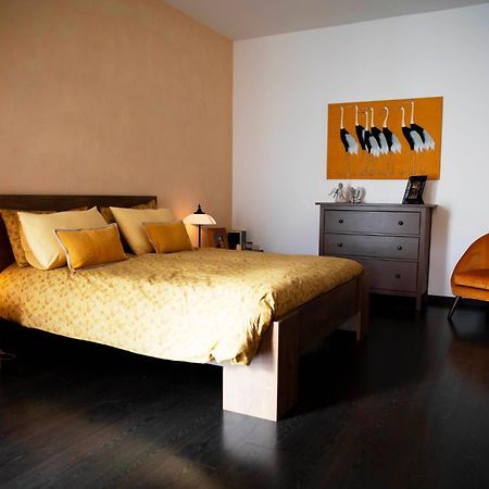 Sound Of Colors - Art Design Apartment Desenzano del Garda Esterno foto